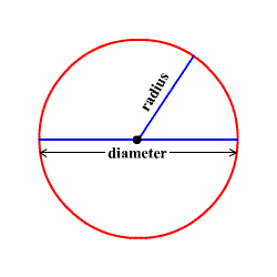 表示半径和直径的圆